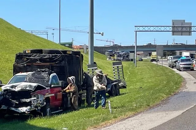 Τενεσί: Μέλισσες προκάλεσαν κυκλοφοριακή συμφόρηση