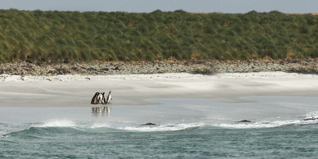 Λονδίνο: “Η κυριαρχία των Νήσων Φόκλαντ ανήκει στο Ηνωμένο Βασίλειο”