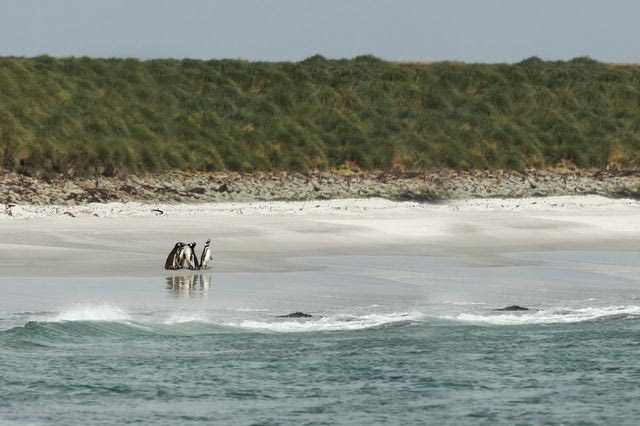 Λονδίνο: “Η κυριαρχία των Νήσων Φόκλαντ ανήκει στο Ηνωμένο Βασίλειο”