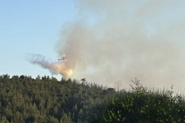 Φωτιά σε δασική έκταση στη Σκιάθο