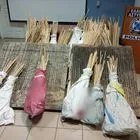 Χίος: Εντοπίστηκαν και κατασχέθηκαν 1.181 αυτοσχέδιες ρουκέτες