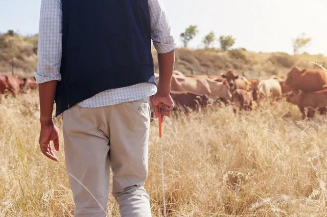 Λέσβος: Συναγερμός για την εξαφάνιση 24χρονου κτηνοτρόφου