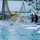 Γιατί βρίσκεται σε καθεστώς πίεσης ο αλιευτικός τομέας στην Ευρώπη;