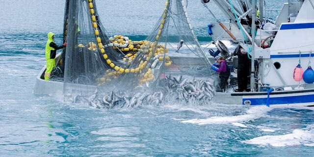 Γιατί βρίσκεται σε καθεστώς πίεσης ο αλιευτικός τομέας στην Ευρώπη;