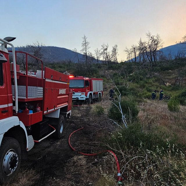 Συνελήφθη 45χρονη για εμπρησμό – Έκαψε προσωπικά αντικείμενα δίπλα σε δάσος