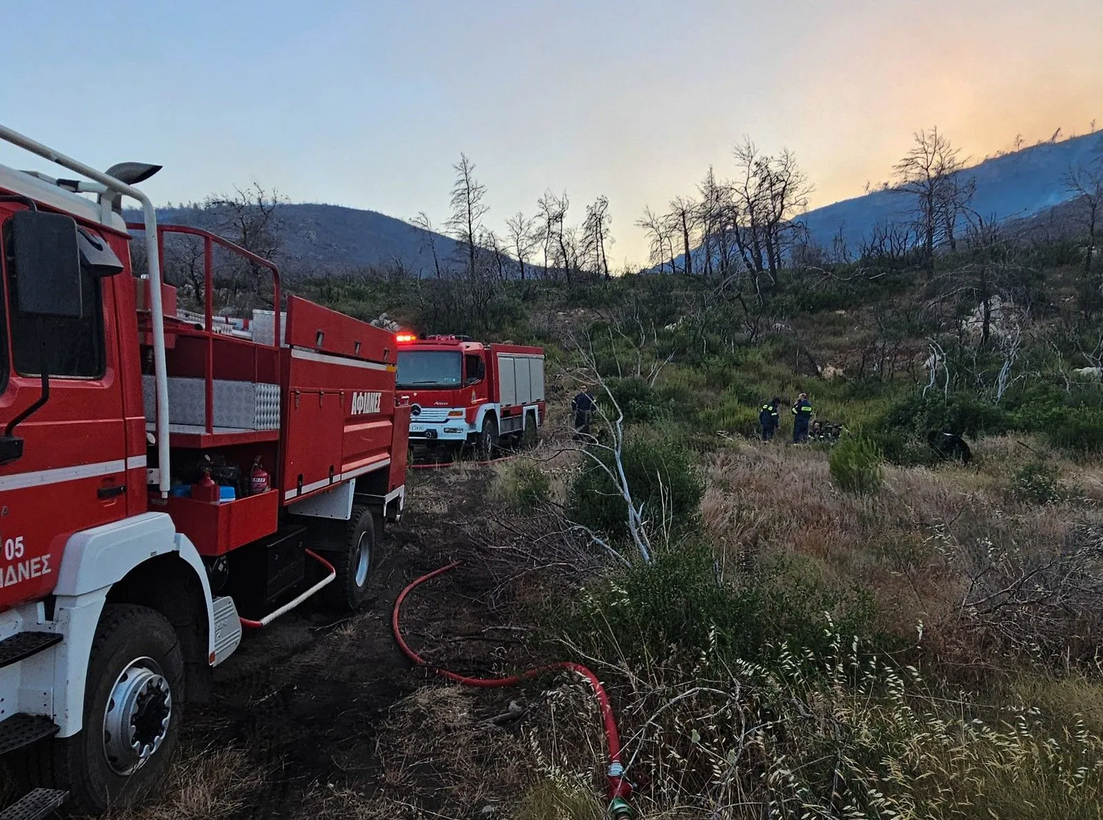 Φωτιά σε δασική έκταση στην Πάρνηθα – Τεράστια κινητοποίηση της Πυροσβεστικής