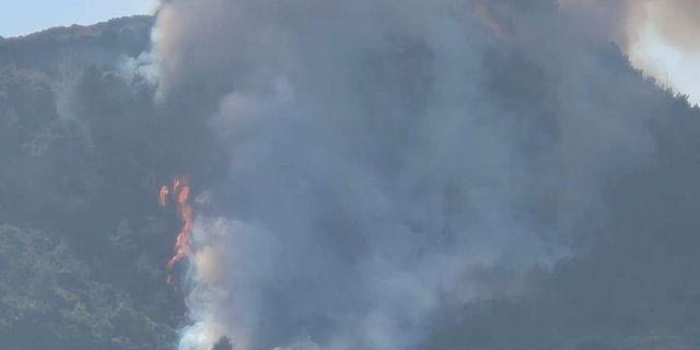 Βελτιωμένη η εικόνα της φωτιάς στην Ακράτα – Σύλληψη του υπαιτίου που έκαιγε κλαδιά