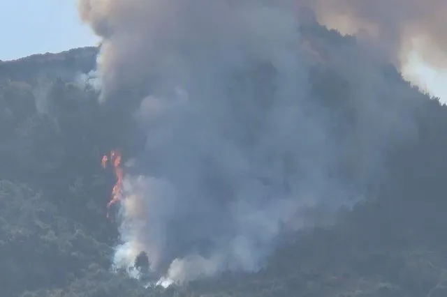 Μεγάλη φωτιά στην Άμπελο Αχαΐας – Ήχησε το 112