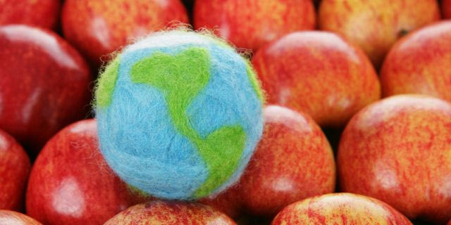 Υγεία και περιβάλλον πάνε μαζί