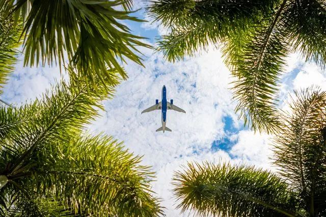 Μωρό γεννήθηκε σε πτήση – Ποια υπηκοότητα θα λάβει