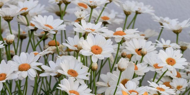 Καιρός: Άστατος τα επόμενα 24ωρα – Πώς θα κάνουμε Ανάσταση και Πάσχα