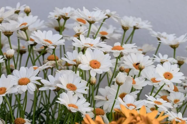 Καιρός: Άστατος τα επόμενα 24ωρα – Πώς θα κάνουμε Ανάσταση και Πάσχα