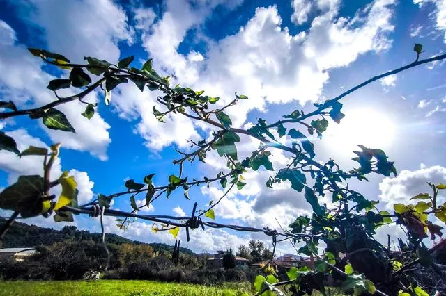 Συννεφιασμένος καιρός