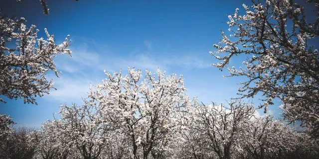 Με άστατο καιρό μπαίνει η νέα εβδομάδα – Πού θα έχει βροχές