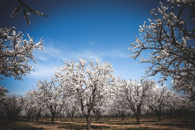 Με άστατο καιρό μπαίνει η νέα εβδομάδα – Πού θα έχει βροχές