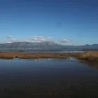 Ωρωπός: Έφτιαξαν δρόμο μέσα στην λιμνοθάλασσα Natura – Μηνύσεις από τον δήμο