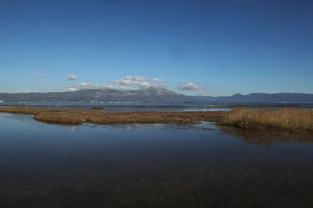 Ωρωπός: Έφτιαξαν δρόμο μέσα στην λιμνοθάλασσα Natura – Μηνύσεις από τον δήμο