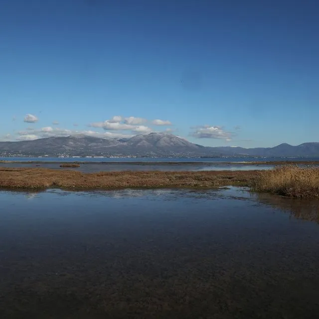 Έφτιαξαν δρόμο μέσα στην λιμνοθάλασσα Natura – Μηνύσεις από τον δήμο