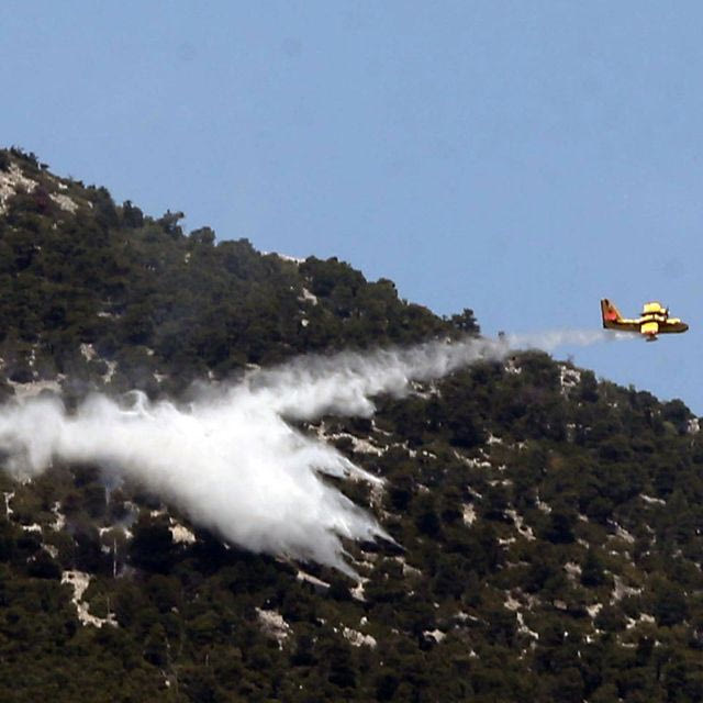 Οριοθετήθηκε η φωτιά στην Πάρνηθα – Τεράστια η κινητοποίηση της Πυροσβεστικής