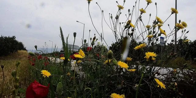 Πρωτομαγιά, φωτογραφία αρχείου