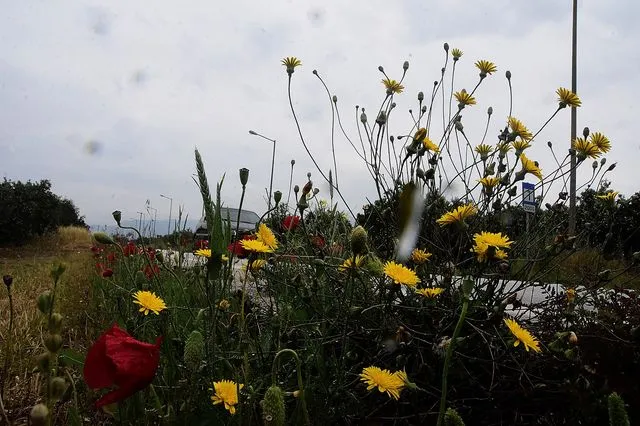Πρωτομαγιά, φωτογραφία αρχείου