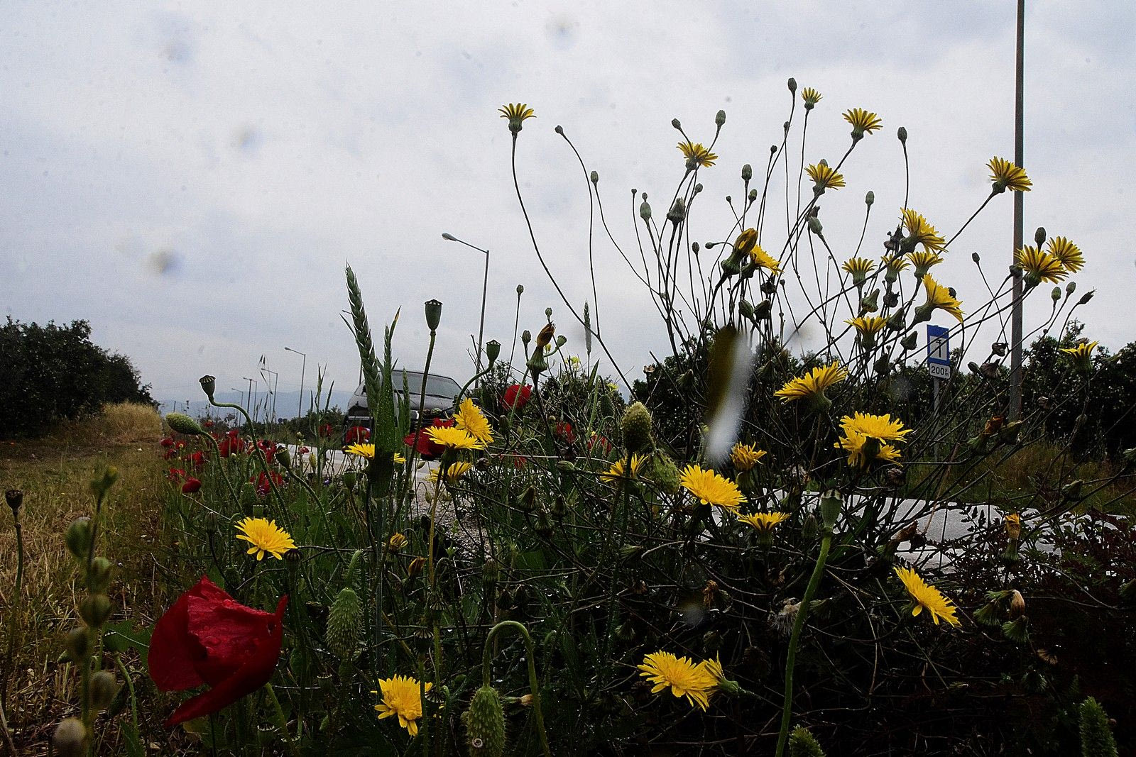 Πρωτομαγιά, φωτογραφία αρχείου