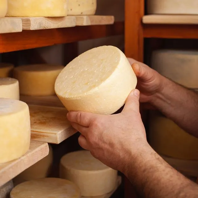 Τυροκόμος (φωτογραφία αρχείου)