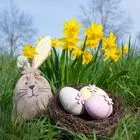 Καλάθι με πασχαλινά αυγά στο γρασίδι