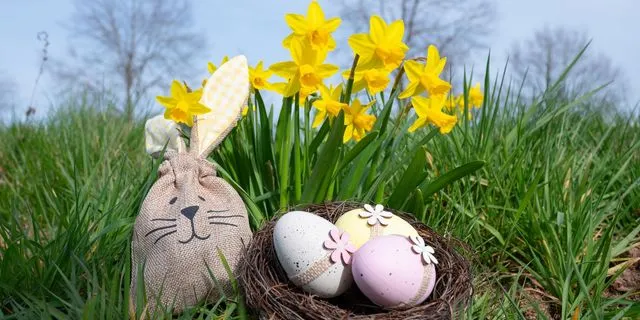 Καλάθι με πασχαλινά αυγά στο γρασίδι