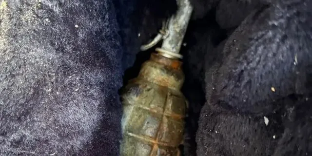 Χειροβομβίδα βρέθηκε στο μπαλκόνι διαμερίσματος ύστερα από επιχείρηση για διακίνηση ναρκωτικών