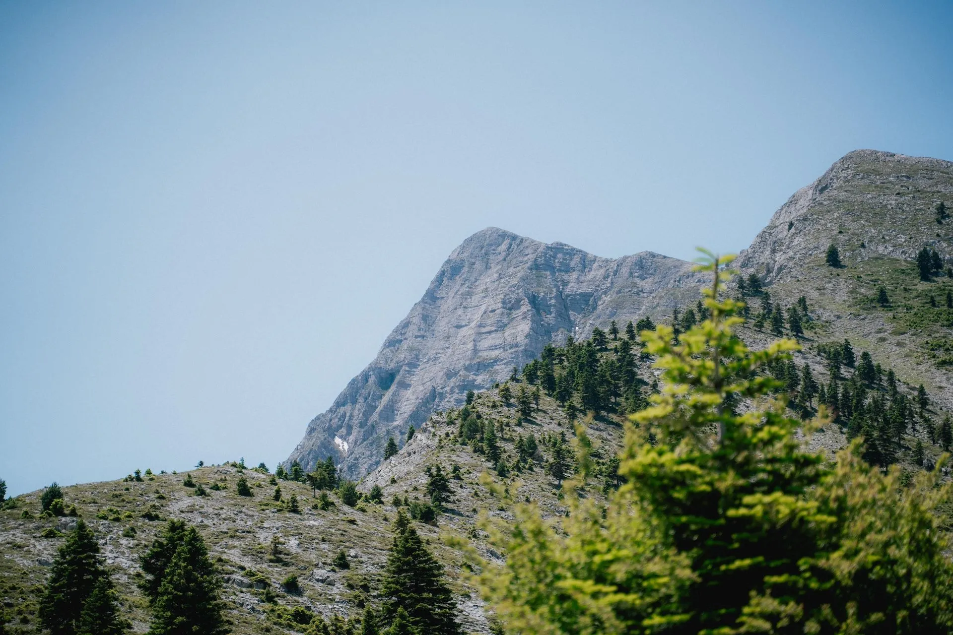 Helmos Mountain Festival