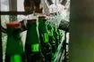 Ολυμπιακή Ζυθοποιία: “Πράσινη” ανάπτυξη με μείωση εκπομπών και νέους στόχους έως το 2032
