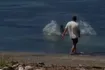 Οργή στη Χαβάη με άνδρα που επιτέθηκε με πέτρα σε φώκια – Βίντεο