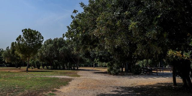 Στιγμιότυπο από το πάρκο της Ακαδημίας Πλάτωνος στον Κολωνό (φωτογραφίαρχείου)