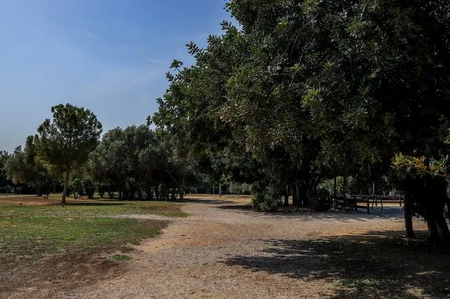 Στιγμιότυπο από το πάρκο της Ακαδημίας Πλάτωνος στον Κολωνό (φωτογραφίαρχείου)