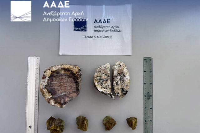 ΑΑΔΕ: Συνελήφθησαν 2 Ολλανδοί για κλοπή απολιθωμάτων από το δάσος της Λέσβου