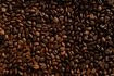 Παγκόσμια διάκριση για την KAFEA TERRA στα global coffee awards