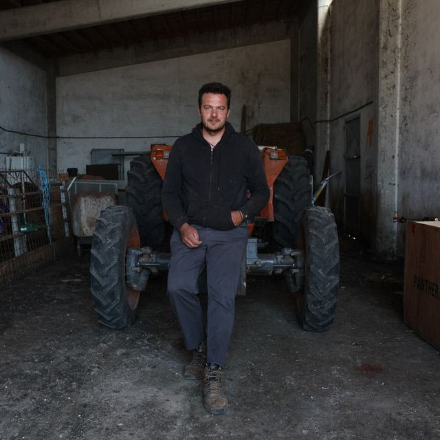 “Σκοτώνουν τα ‘μωρά’ μας” – Η απόγνωση των κτηνοτρόφων της Λέσβου