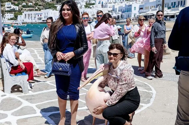 Στη Μύκονο η Κίμπερλι Γκίλφοϊλ – Η συνάντηση με τον… πελεκάνο