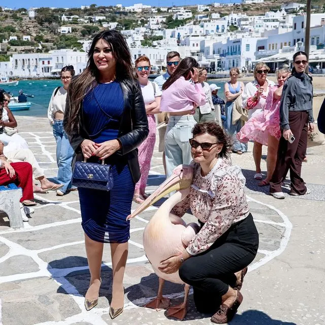 Στη Μύκονο η Κίμπερλι Γκίλφοϊλ – Η συνάντηση με τον… πελεκάνο