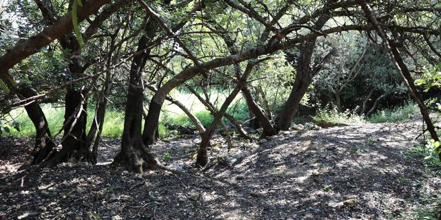 Χανιά: Τραγικός επίλογος στην εξαφάνιση του 33χρονου γιατρού μετά από 5 μήνες αγωνίας