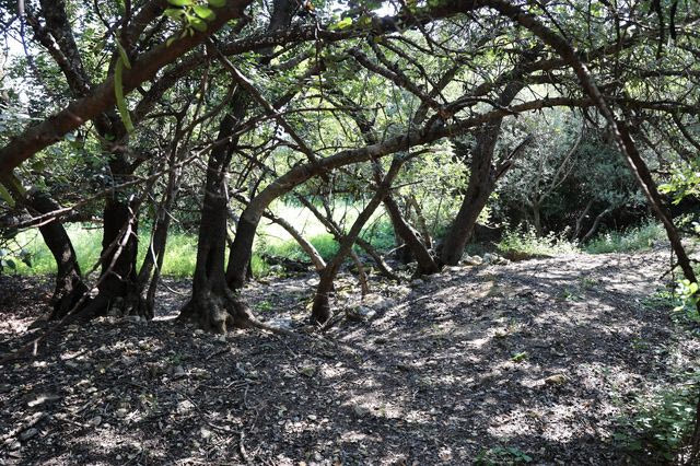 Χανιά: Τραγικός επίλογος στην εξαφάνιση του 33χρονου γιατρού μετά από 5 μήνες αγωνίας