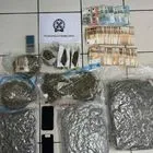 Σαντορίνη: Έφοδος σε 17 σπίτια – Κατασχέθηκαν 5 κιλά κάνναβης