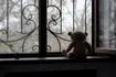 Νέο περιστατικό ανηλίκων που ζούσαν σε “τρώγλη” στους Αγίους Αναργύρους