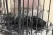 Θεσσαλονίκη: Φωτιά σε μοτοποδήλατο επεκτάθηκε σε διαμέρισμα και δύο ΙΧ