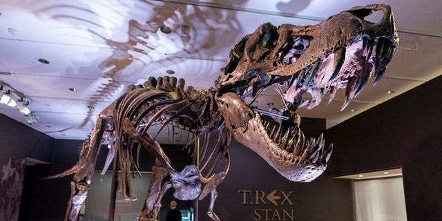 Γιατί ο T. rex είχε τόσο μικρά χέρια; Οι επιστήμονες ίσως έλυσαν το μυστήριο