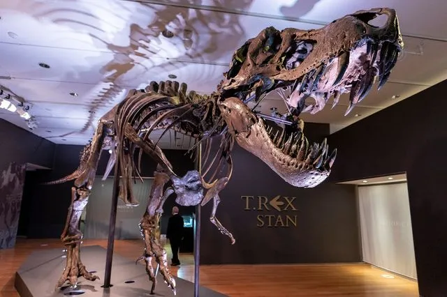 Γιατί ο T. rex είχε τόσο μικρά χέρια; Οι επιστήμονες ίσως έλυσαν το μυστήριο