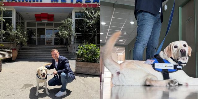 “Έπιασε δουλειά” στο νοσοκομείο Μεταξά ο πρώτος σκύλος θεραπείας
