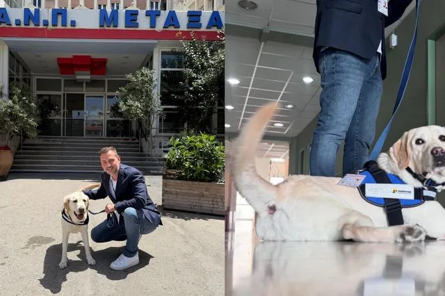 “Έπιασε δουλειά” στο νοσοκομείο Μεταξά ο πρώτος σκύλος θεραπείας