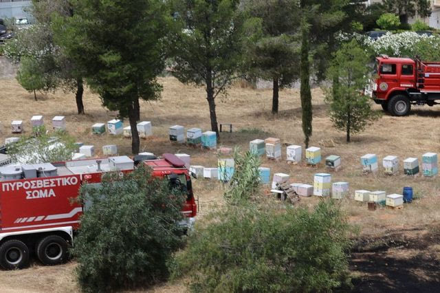 Φωτιά στο Άλσος Βεΐκου
